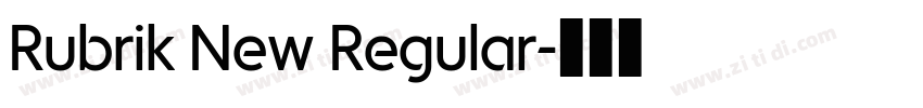Rubrik New Regular字体转换